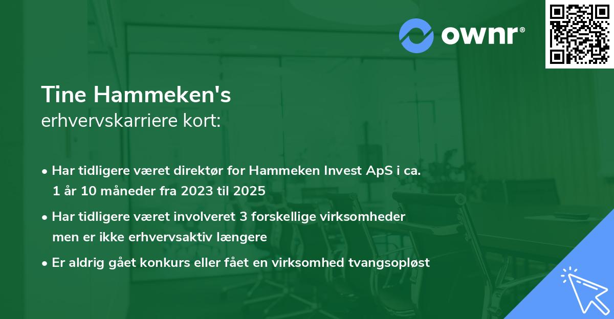 Tine Hammeken's erhvervskarriere kort