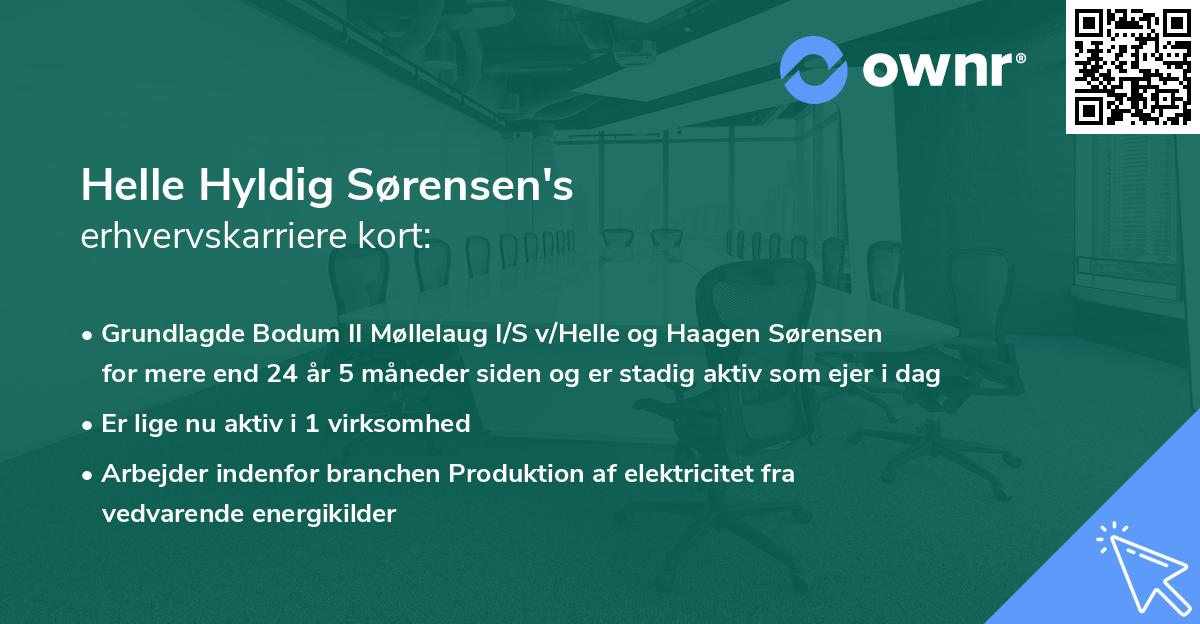Helle Hyldig Sørensen's erhvervskarriere kort