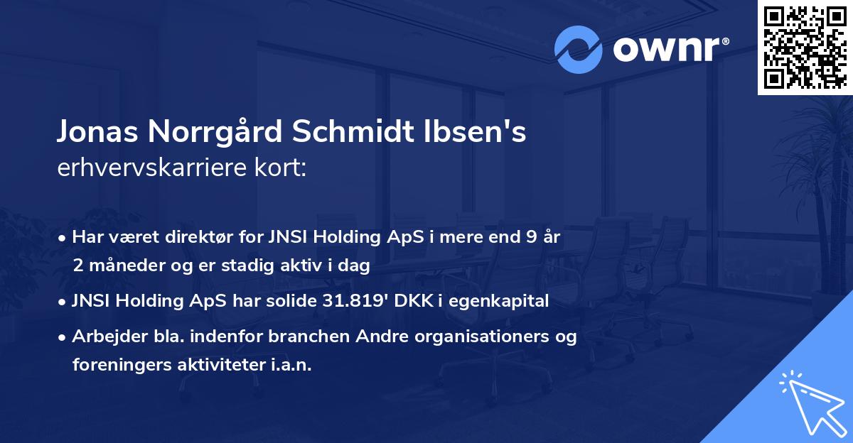 Jonas Norrgård Schmidt Ibsen's erhvervskarriere kort