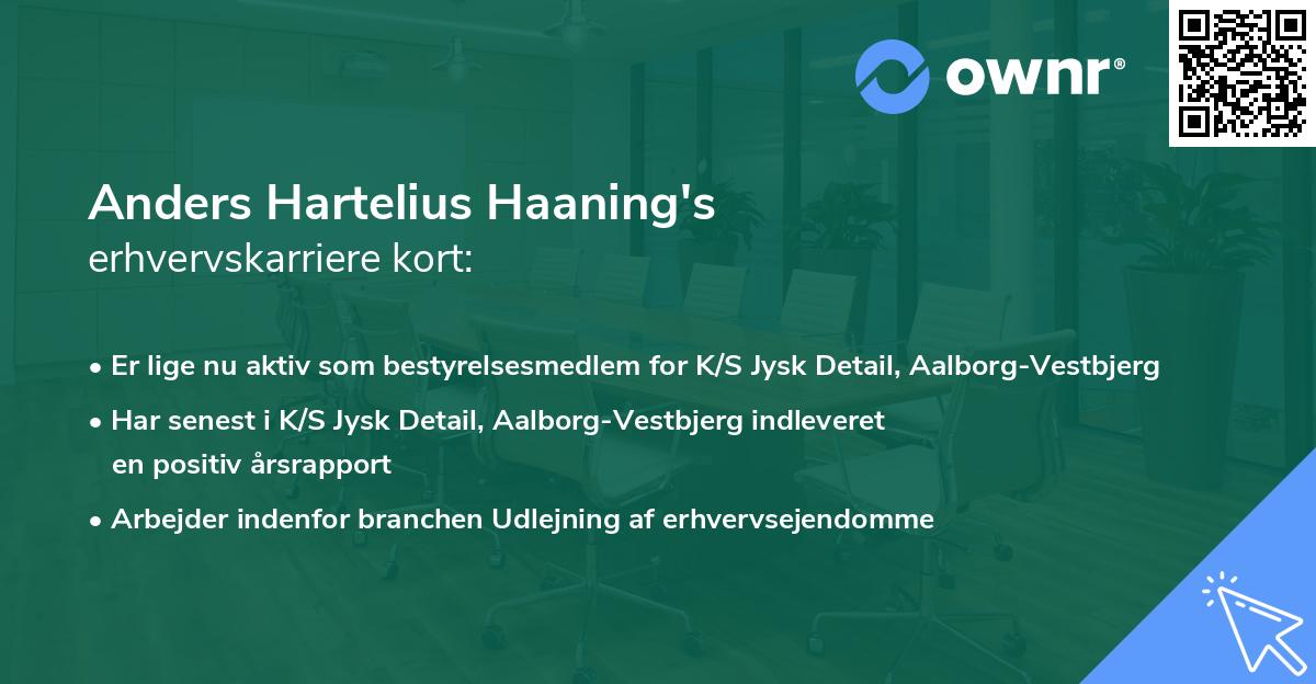 Anders Hartelius Haaning's erhvervskarriere kort