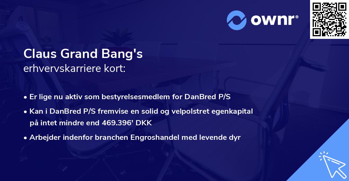 Claus Grand Bang's erhvervskarriere kort