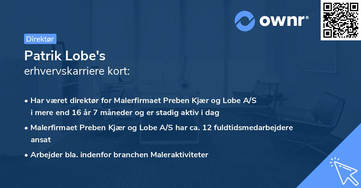 Patrik Lobe's erhvervskarriere kort