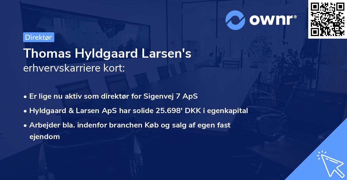 Thomas Hyldgaard Larsen's erhvervskarriere kort