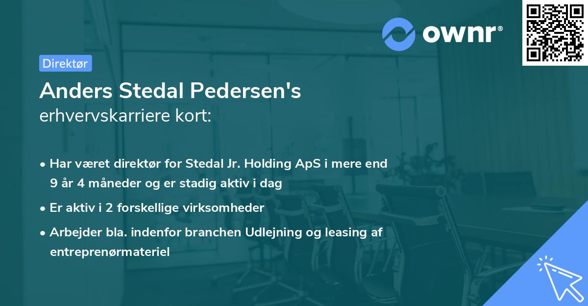 Anders Stedal Pedersen's erhvervskarriere kort