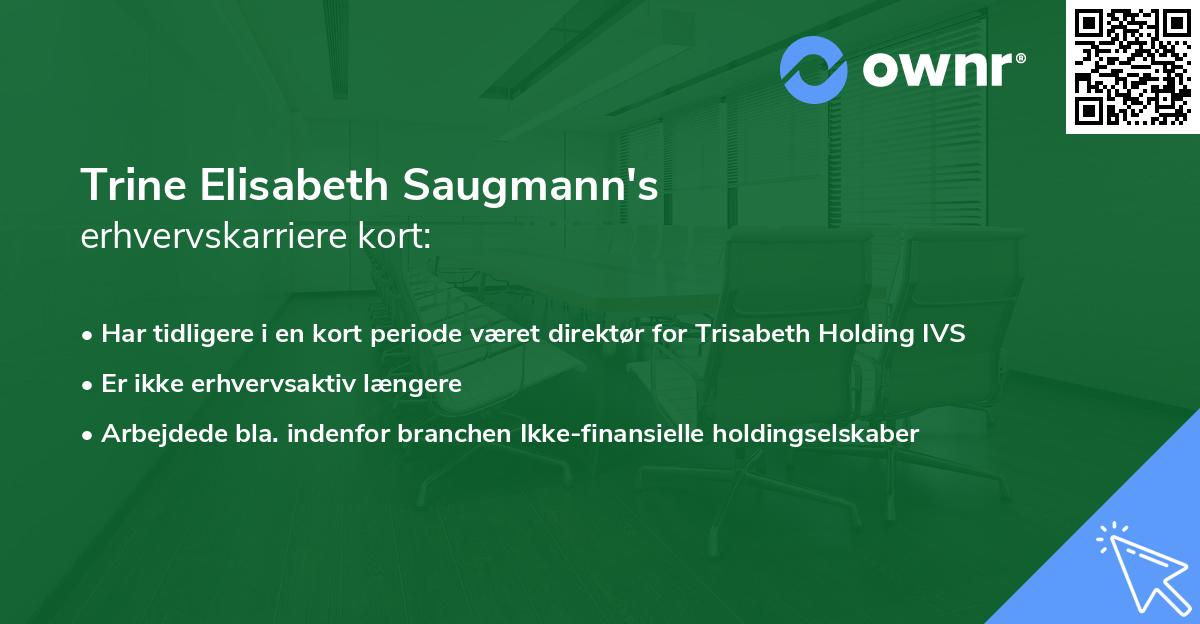 Trine Elisabeth Saugmann's erhvervskarriere kort