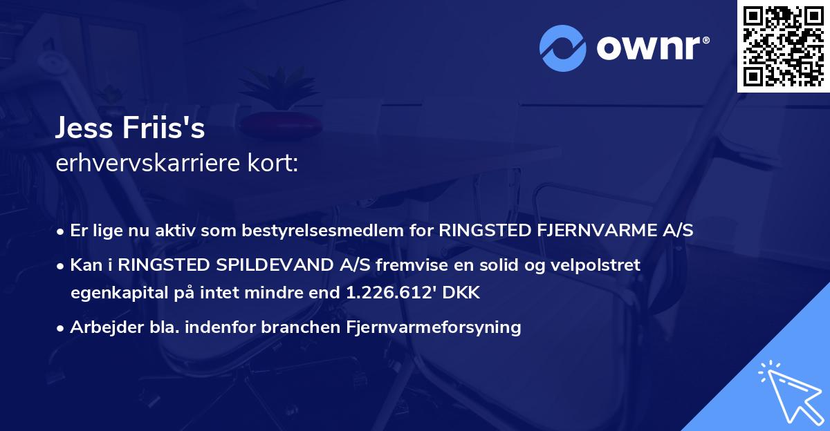 Jess Friis's erhvervskarriere kort