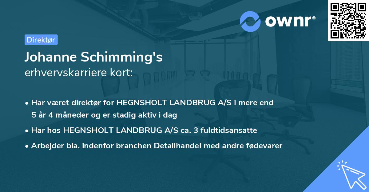 Johanne Schimming's erhvervskarriere kort