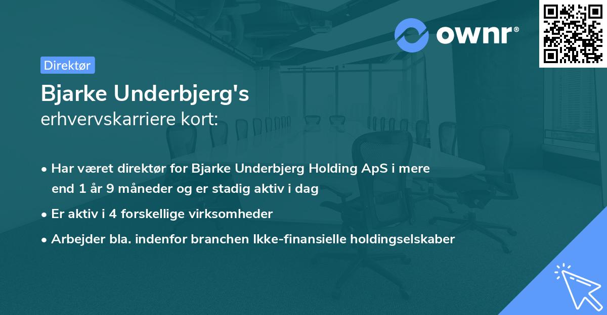 Bjarke Underbjerg's erhvervskarriere kort