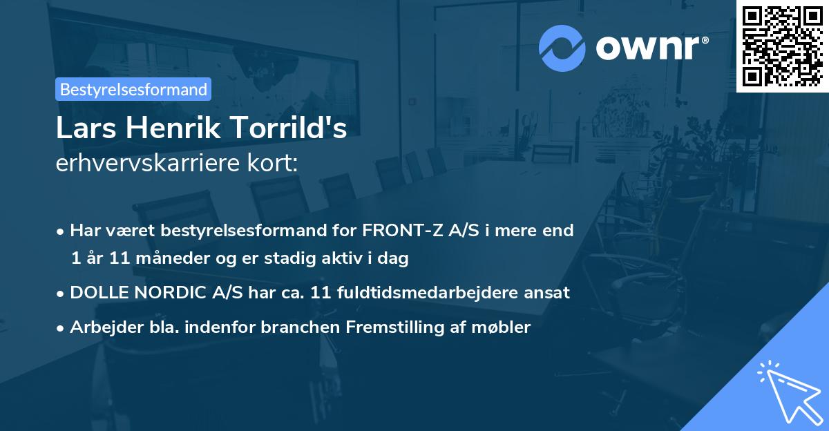 Lars Henrik Torrild's erhvervskarriere kort