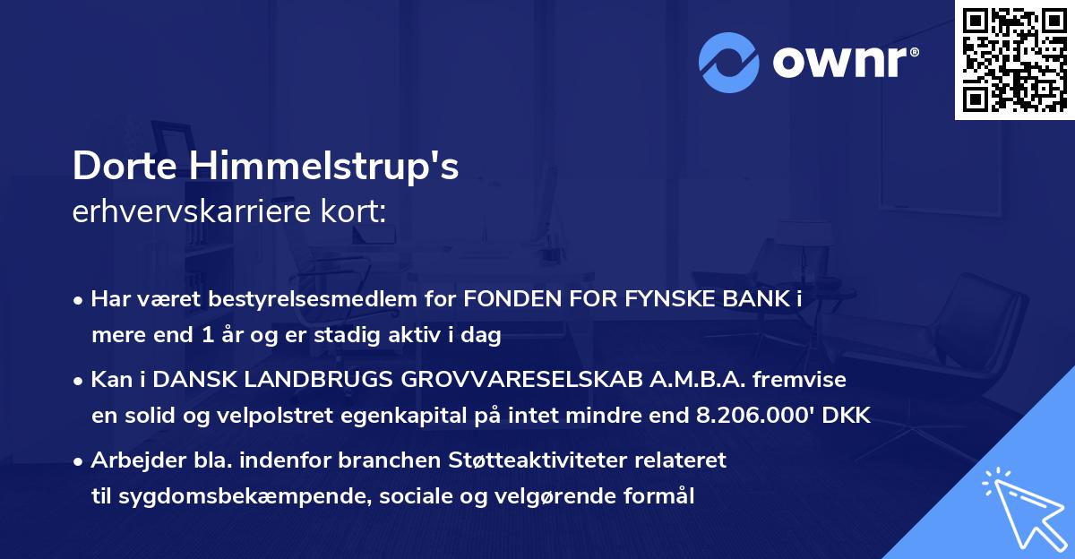 Dorte Himmelstrup's erhvervskarriere kort