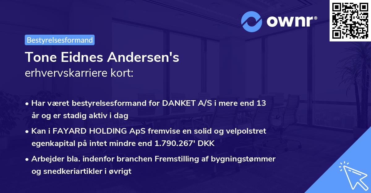 Tone Eidnes Andersen's erhvervskarriere kort