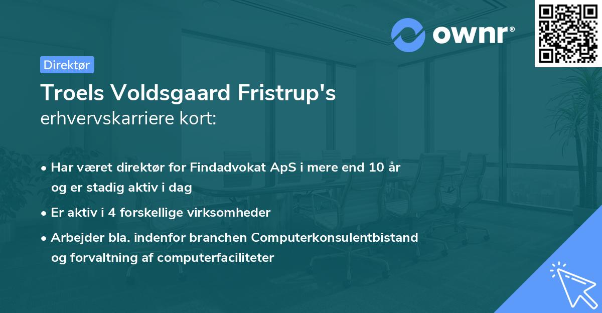 Troels Voldsgaard Fristrup's erhvervskarriere kort