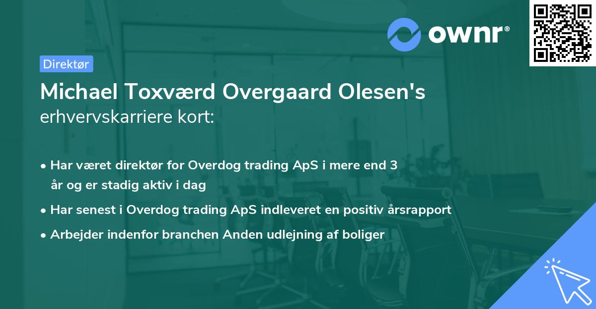 Michael Toxværd Overgaard Olesen's erhvervskarriere kort