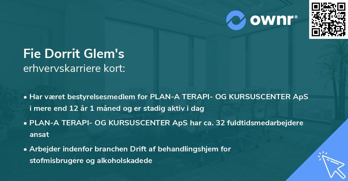 Fie Dorrit Glem's erhvervskarriere kort
