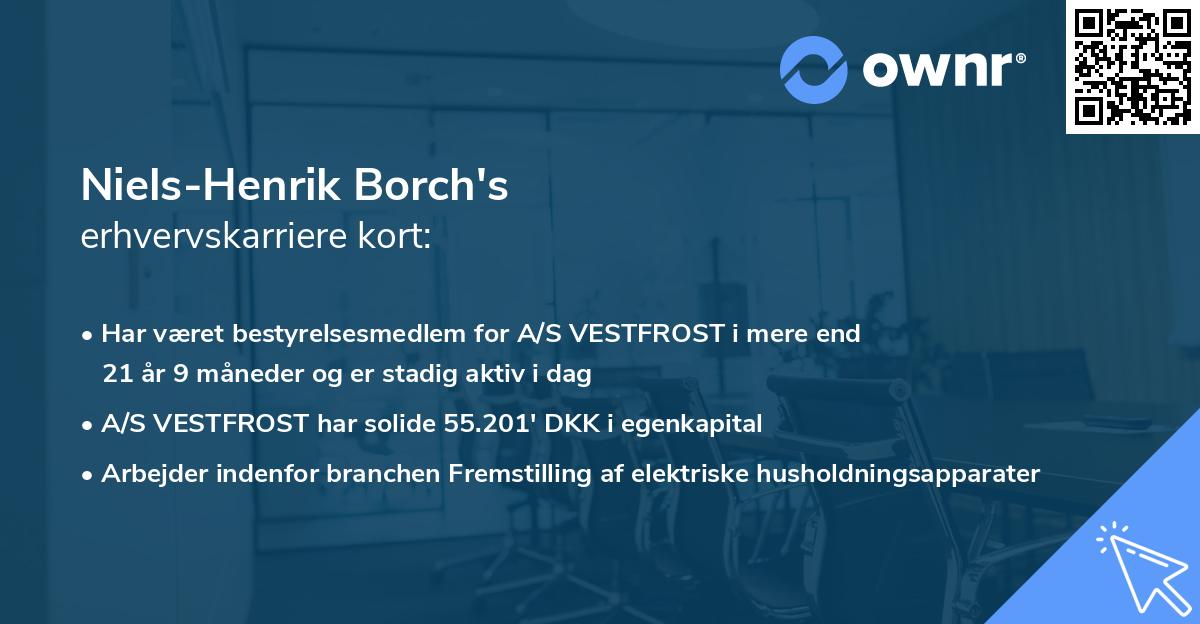 Niels-Henrik Borch's erhvervskarriere kort