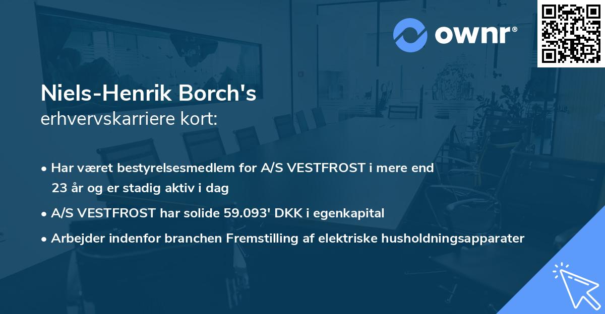 Niels-Henrik Borch's erhvervskarriere kort