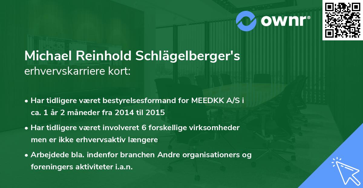 Michael Reinhold Schlägelberger's erhvervskarriere kort