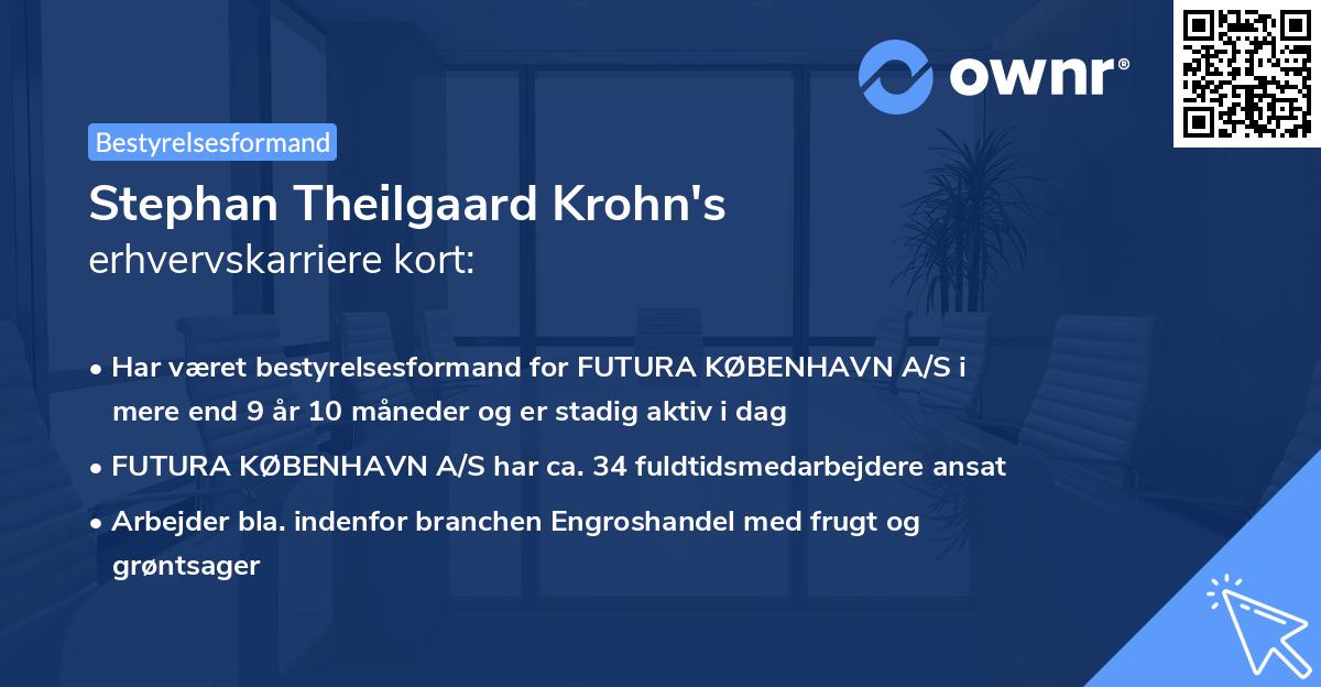 Stephan Theilgaard Krohn's erhvervskarriere kort