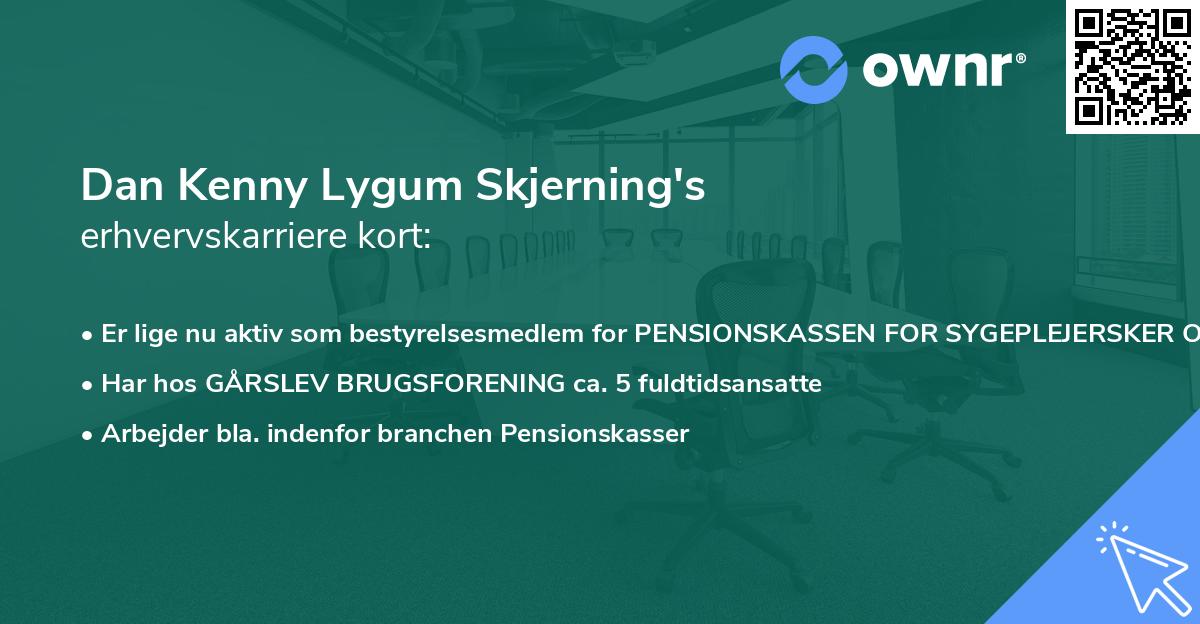 Dan Kenny Lygum Skjerning's erhvervskarriere kort