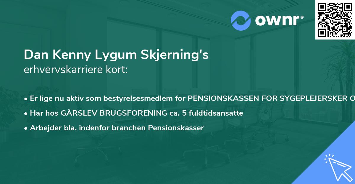 Dan Kenny Lygum Skjerning's erhvervskarriere kort