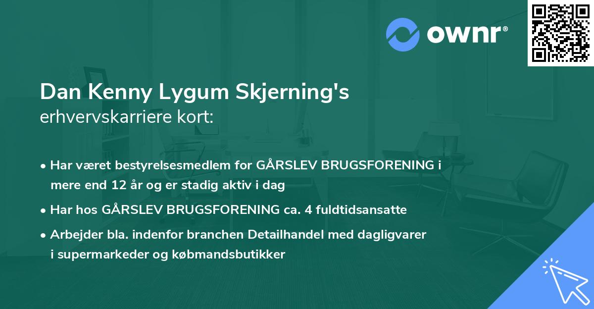 Dan Kenny Lygum Skjerning's erhvervskarriere kort