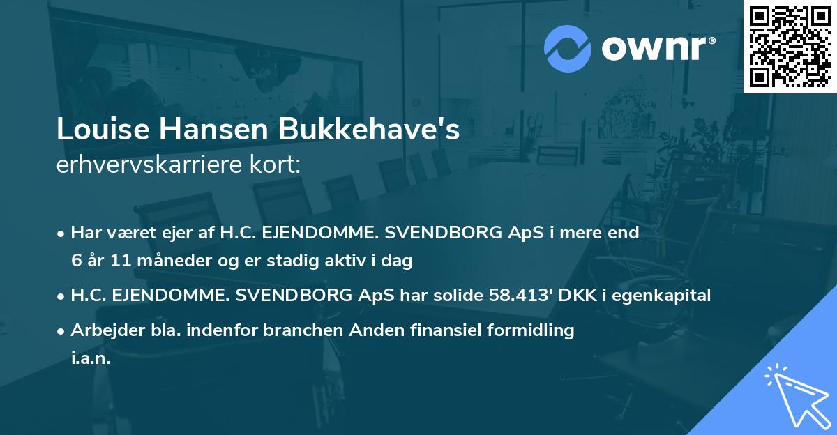 Louise Hansen Bukkehave's erhvervskarriere kort
