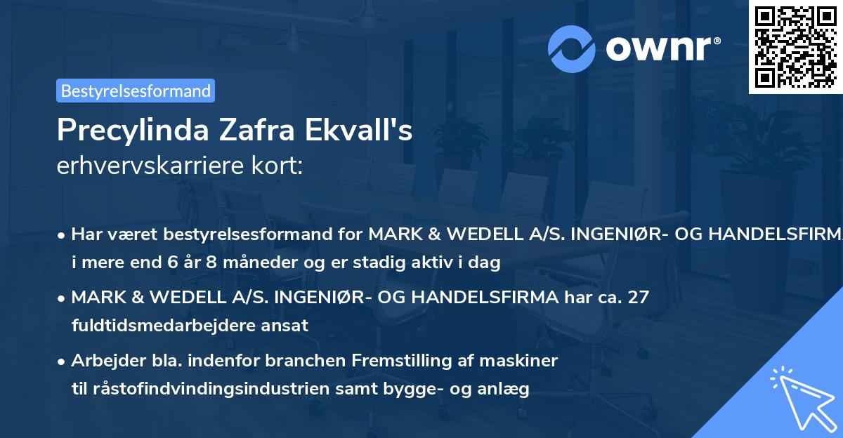 Precylinda Zafra Ekvall's erhvervskarriere kort