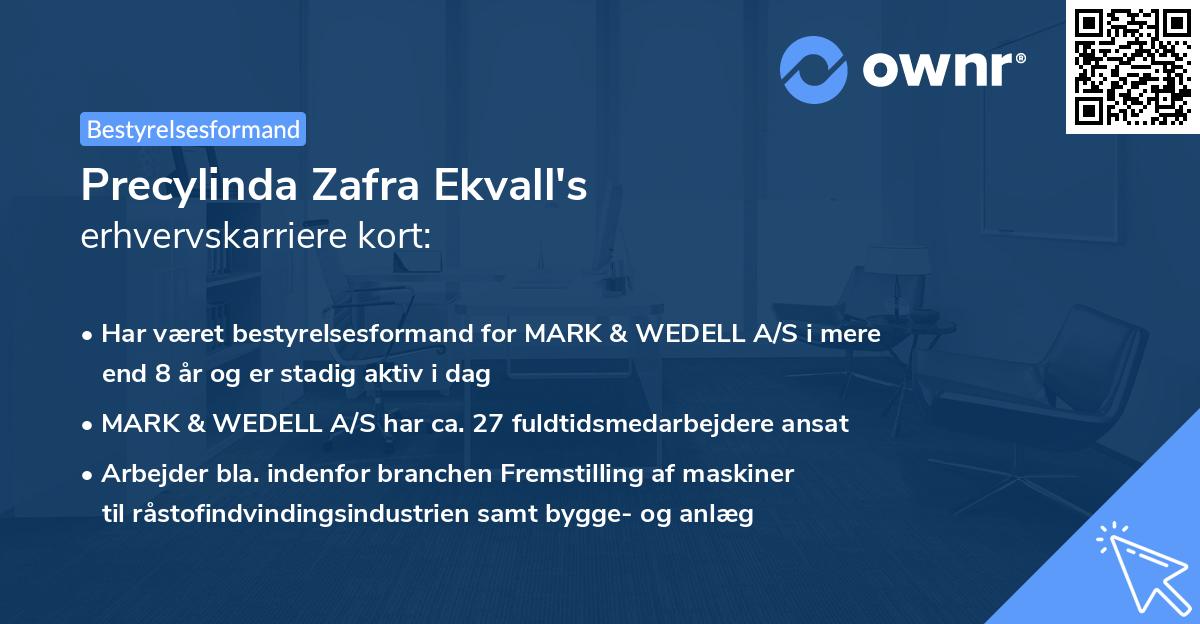 Precylinda Zafra Ekvall's erhvervskarriere kort