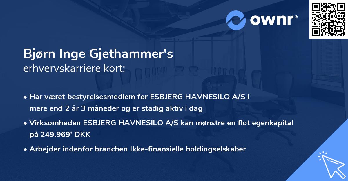 Bjørn Inge Gjethammer's erhvervskarriere kort
