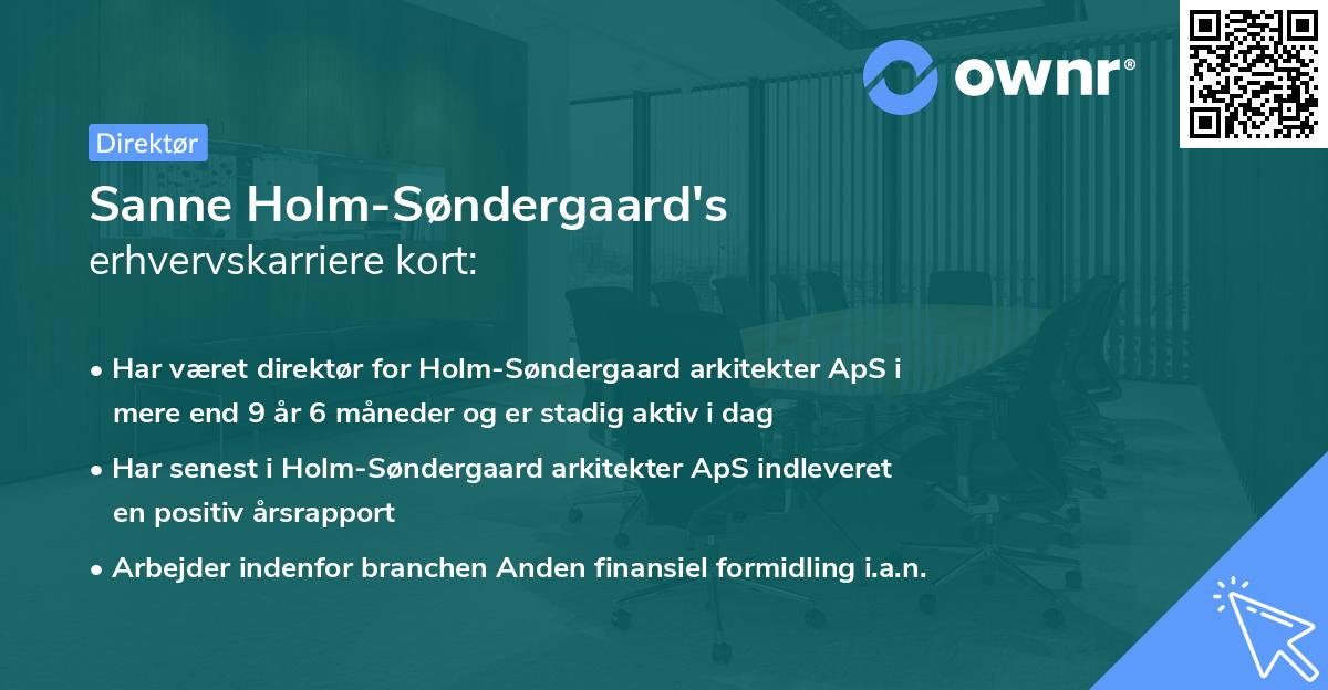Sanne Holm-Søndergaard's erhvervskarriere kort