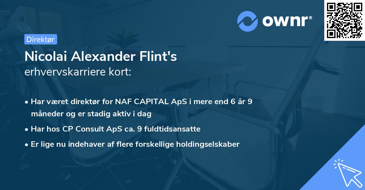 Nicolai Alexander Flint's erhvervskarriere kort