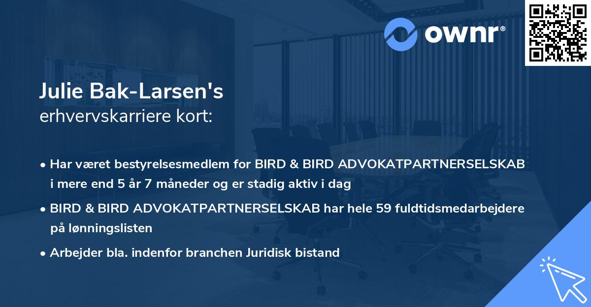 Julie Bak-Larsen's erhvervskarriere kort