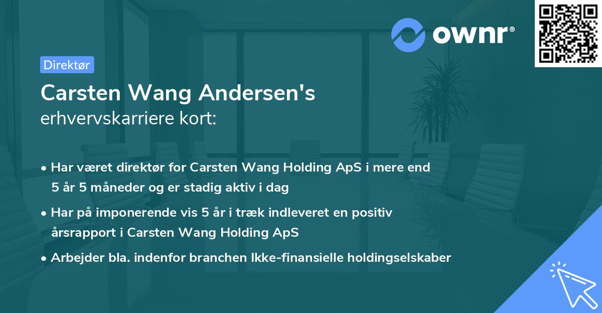 Carsten Wang Andersen's erhvervskarriere kort