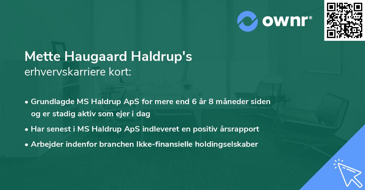 Mette Haugaard Haldrup's erhvervskarriere kort