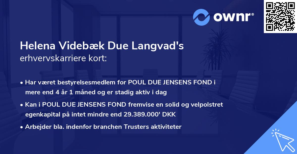Helena Videbæk Due Langvad's erhvervskarriere kort