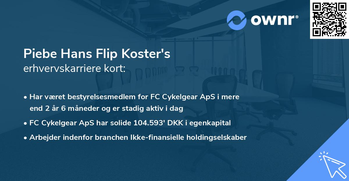 Piebe Hans Flip Koster's erhvervskarriere kort