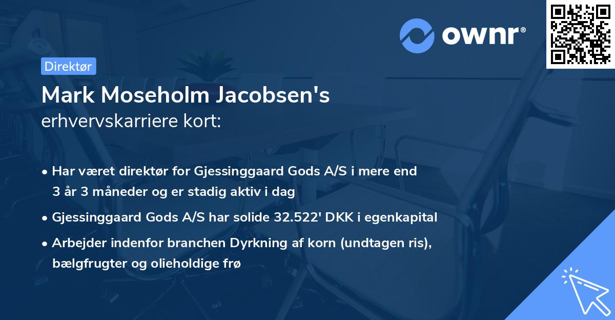 Mark Moseholm Jacobsen's erhvervskarriere kort
