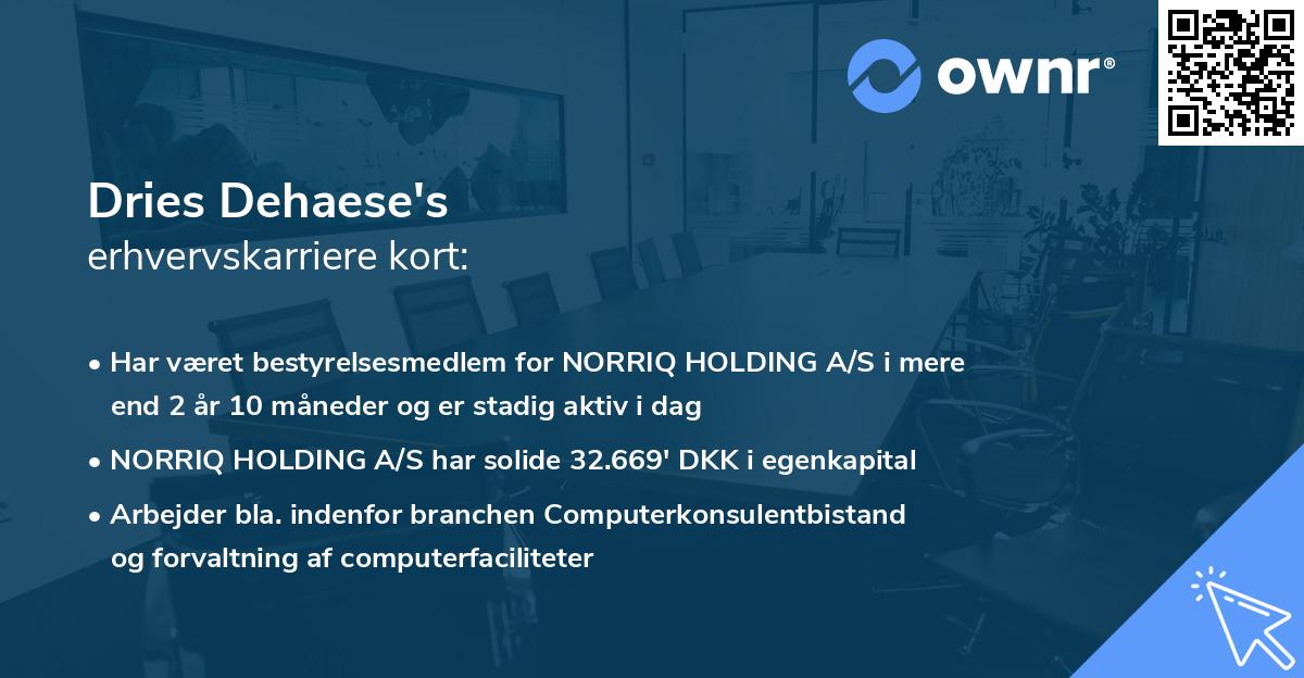Dries Dehaese's erhvervskarriere kort