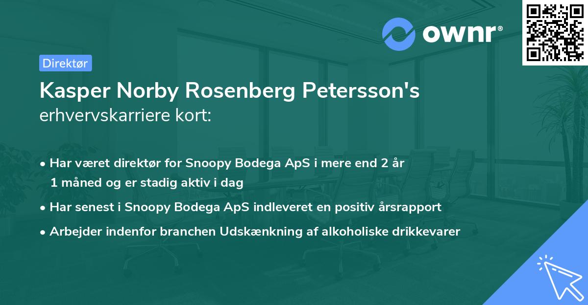 Kasper Norby Rosenberg Petersson's erhvervskarriere kort