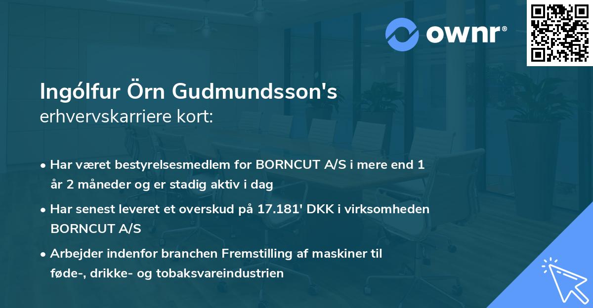 Ingólfur Örn Gudmundsson's erhvervskarriere kort