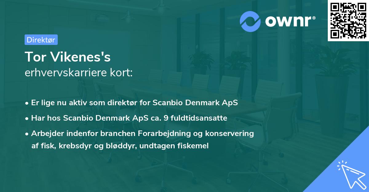 Tor Vikenes's erhvervskarriere kort