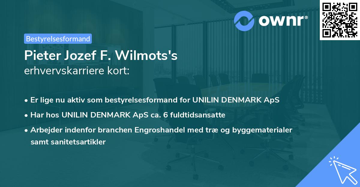 Pieter Jozef F. Wilmots's erhvervskarriere kort
