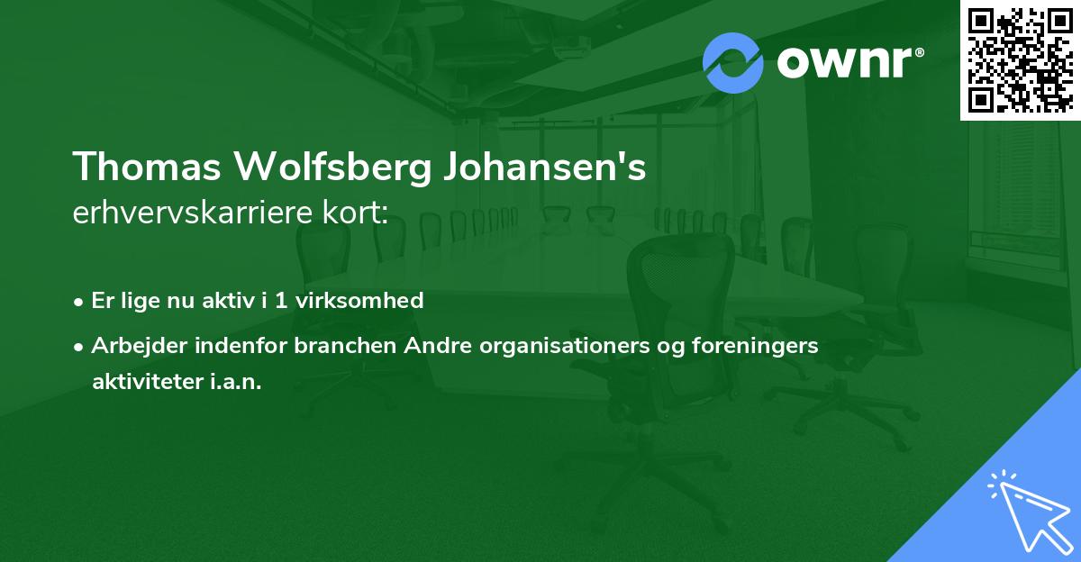 Thomas Wolfsberg Johansen's erhvervskarriere kort
