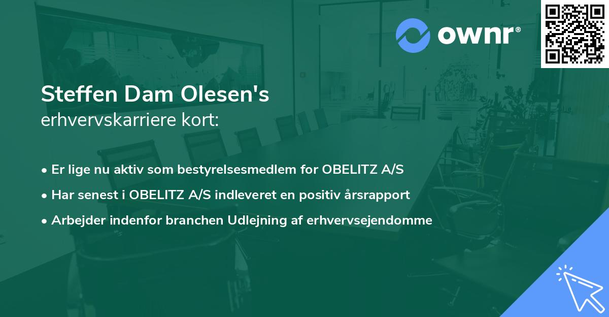 Steffen Dam Olesen's erhvervskarriere kort