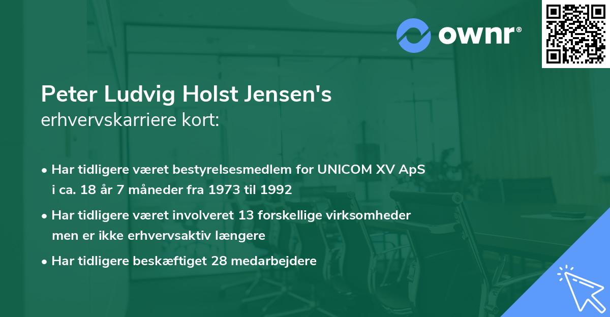 Peter Ludvig Holst Jensen's erhvervskarriere kort