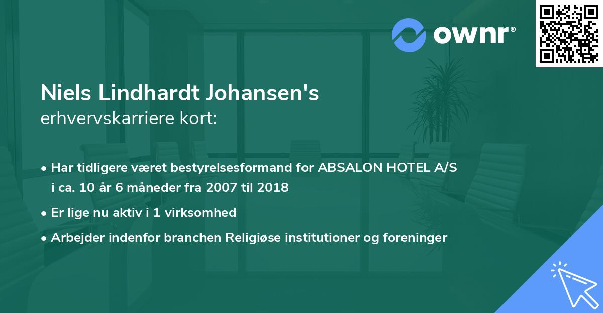 Niels Lindhardt Johansen's erhvervskarriere kort