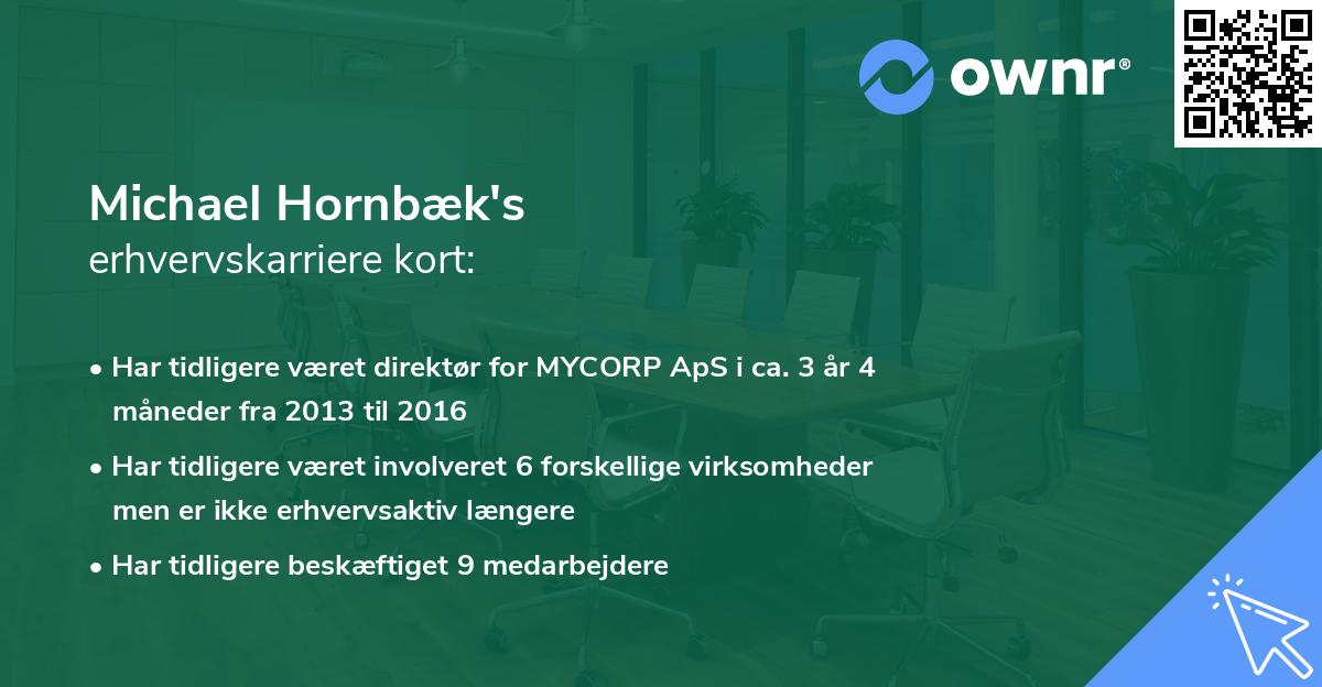 Michael Hornbæk's erhvervskarriere kort