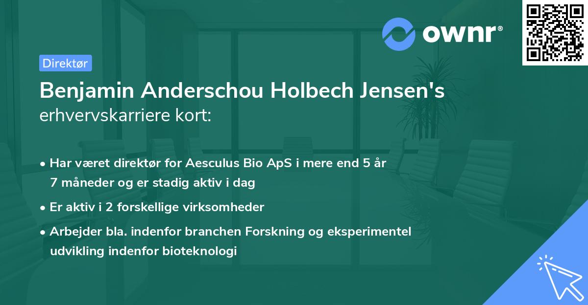 Benjamin Anderschou Holbech Jensen's erhvervskarriere kort