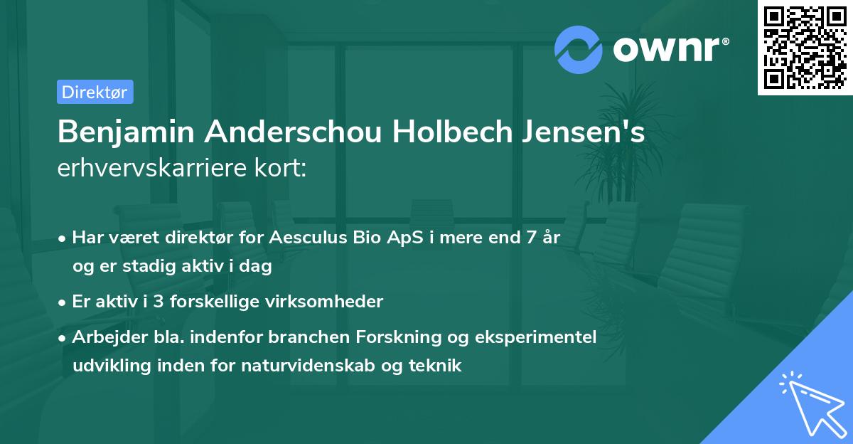 Benjamin Anderschou Holbech Jensen's erhvervskarriere kort