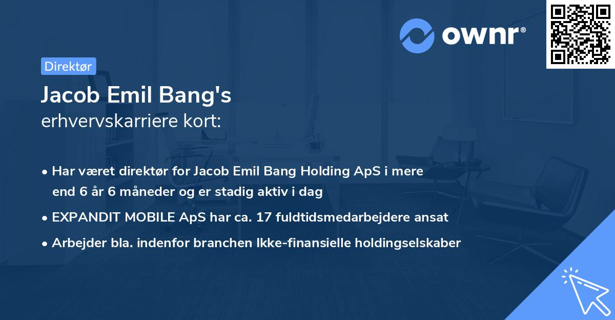 Jacob Emil Bang's erhvervskarriere kort